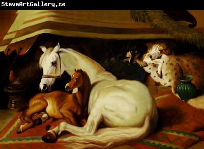 unknow artist Horses 036